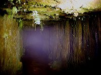 20060627-30sendai (12).jpg